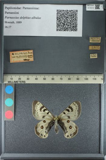 Media type: image;   Entomology 180412